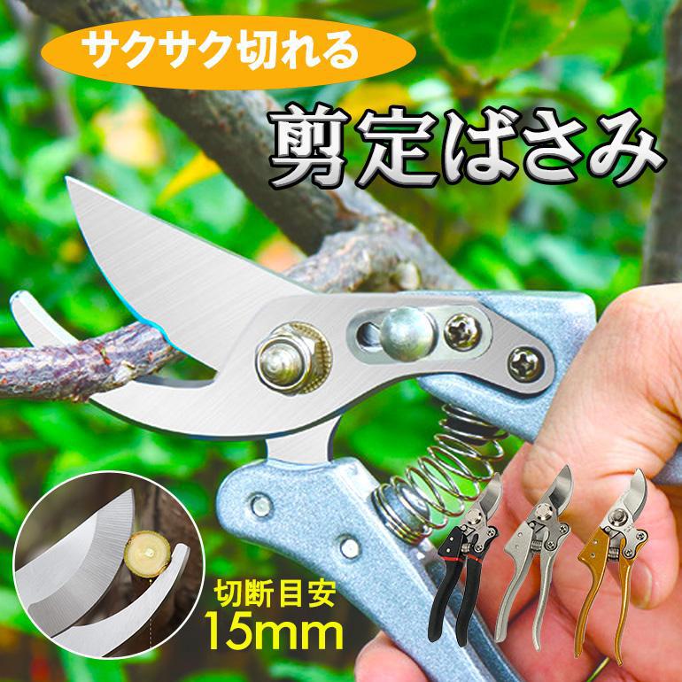 庭の剪定ばさみ果樹園の園芸鋏、庭の剪定ばさみ 訳あり】剪定ばさみ 剪定はさみ 枝切りバサミ 園芸用はさみ 枝