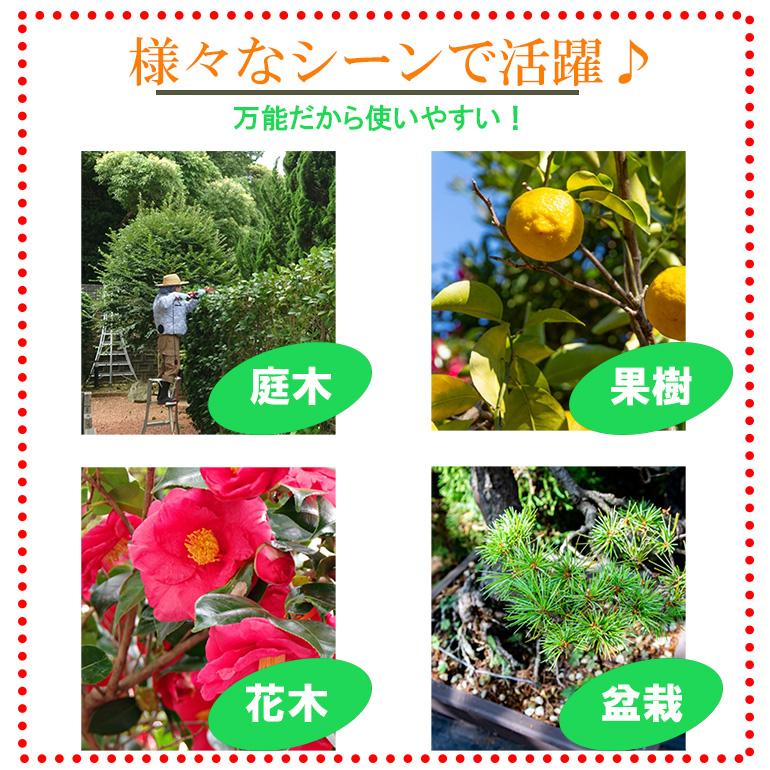 訳あり】剪定ばさみ 剪定はさみ 枝切りバサミ 園芸用はさみ 枝きりばさ