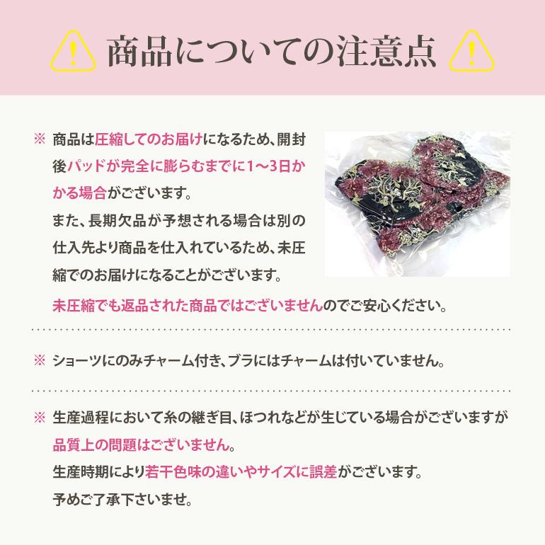 ブラジャー ショーツ セット 脇肉 育乳ブラ 超盛 補正ブラ 盛り 育乳 小胸 谷間 脇高 盛れる ブラ ショーツセット かわいい ブラセット レディース セール |  | 17