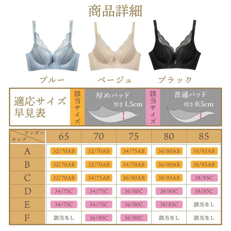 育乳ブラ ブラジャー ノンワイヤー ショーツ セット 脇高 脇肉 着やせ