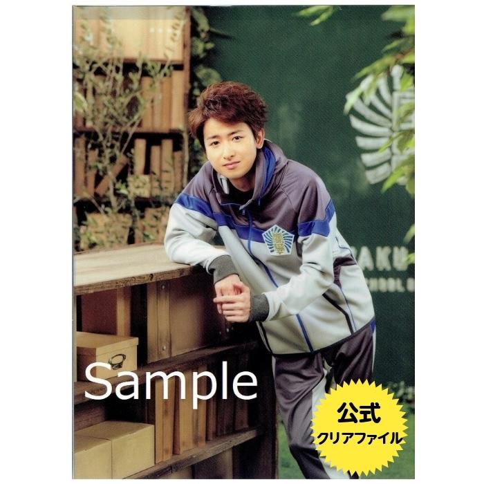 嵐 大野智オフィシャルグッズファイル