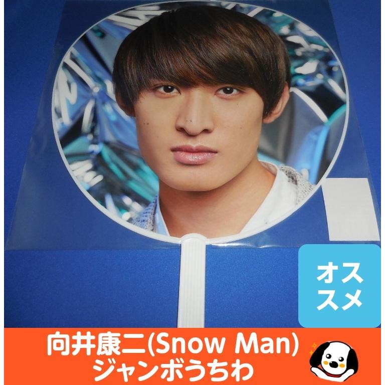 向井康二 ジャンボうちわ 2020 ASIA TOUR 2D.2D 美品/Snow Man