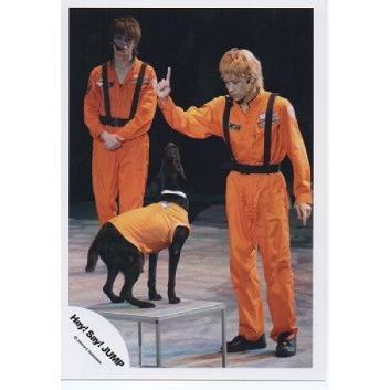 八乙女光 有岡大貴 Hey Say Jump 公式生写真 衣装オレンジ 黒 犬 Fb 9304 アレイズブック ヤフーshop 通販 Yahoo ショッピング