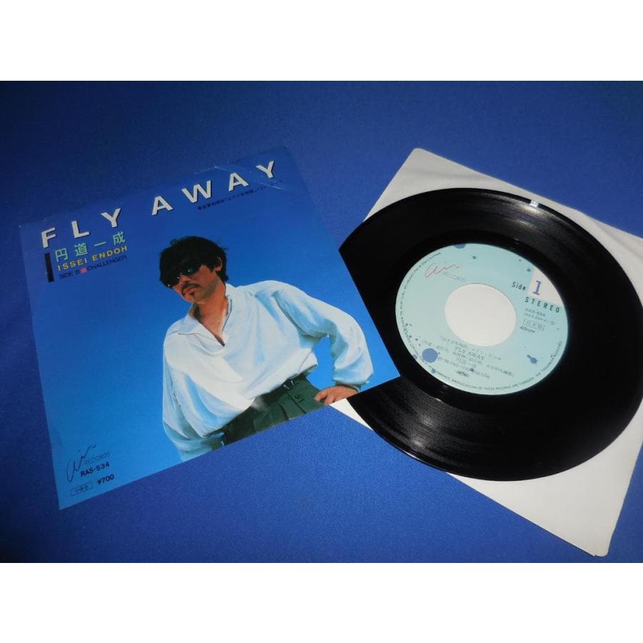FLY AWAY/円道一成 見本盤 EPレコード シングルレコード : アレイズ