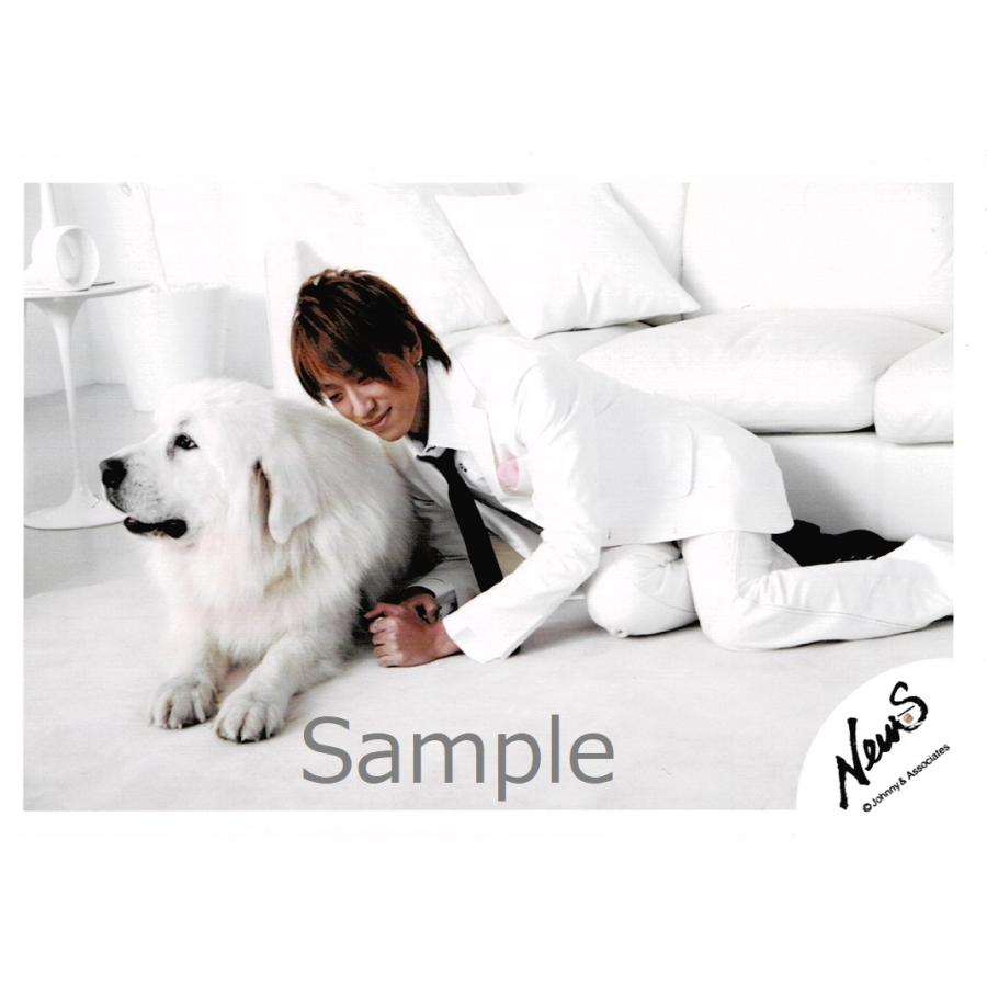 小山慶一郎 News 公式生写真 衣装白 黒 ネクタイ 背景白 犬 目線若干下 Z アレイズブック ヤフーshop 通販 Yahoo ショッピング