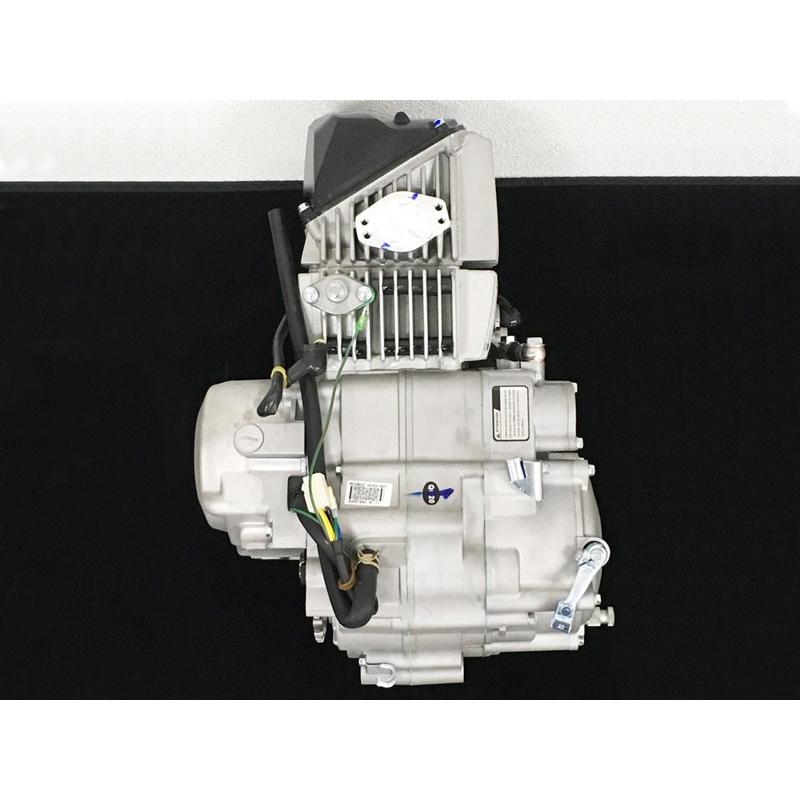 デイトナ製高性能競技用横型コンプリートエンジン『Daytona Anima190cc