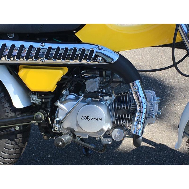 SKYTEAM T-REX125（2018年モデル） : アローズショップヤフー店 - 通販