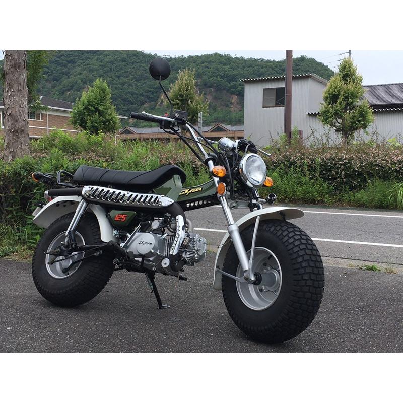 爆安原付二種　PGOのT-REX125　無料配送特典あり SKYTEAM T-REX125（2018年モデル） : アローズショップヤフー店 - 通販
