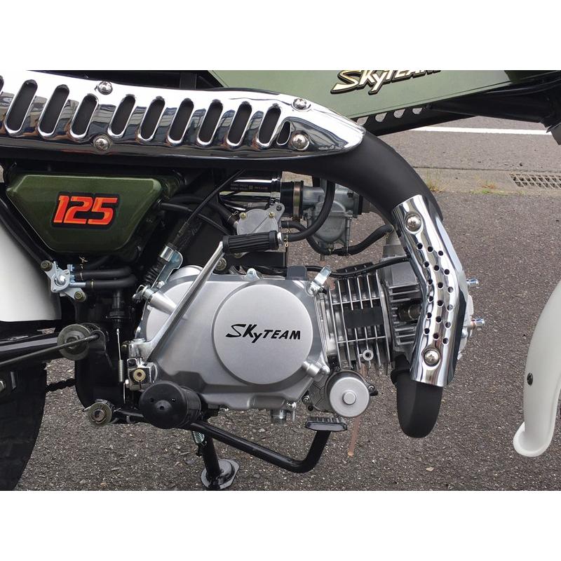 SKYTEAM T-REX125（2018年モデル） : アローズショップヤフー店 - 通販
