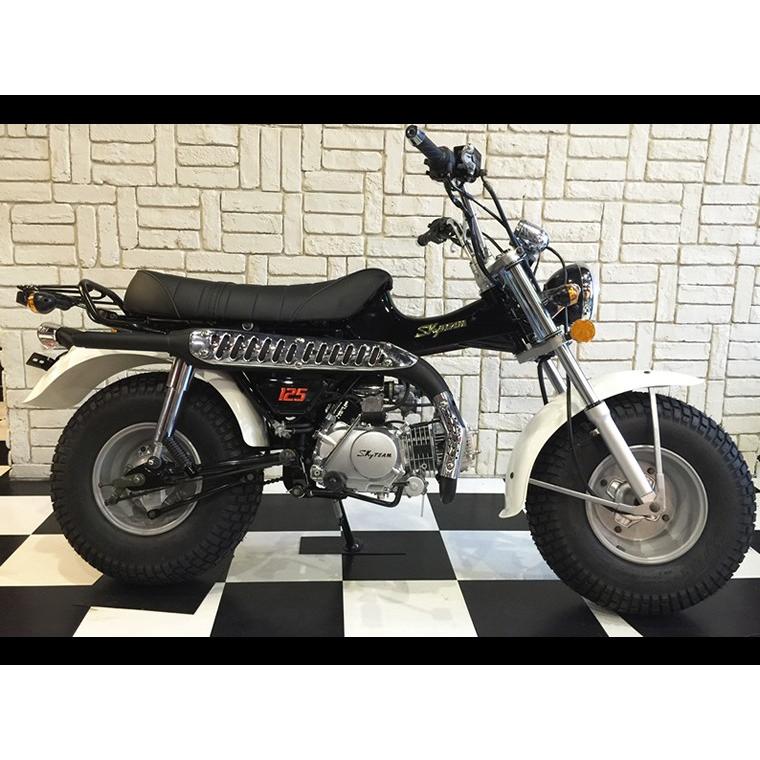 R,Sショップ SKYTEAM T-REX125（2016年モデル） : アローズショップヤフー店 - 通販