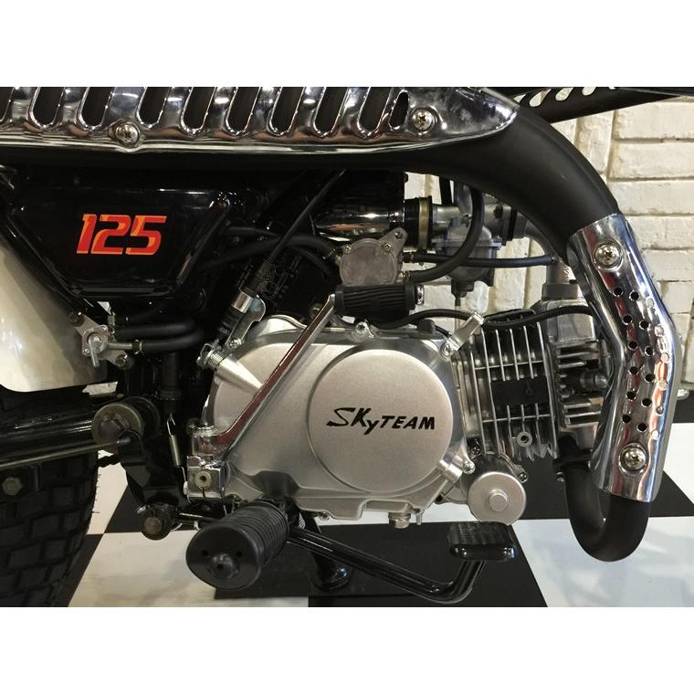 SKYTEAM T-REX125（2016年モデル） : アローズショップヤフー店 - 通販