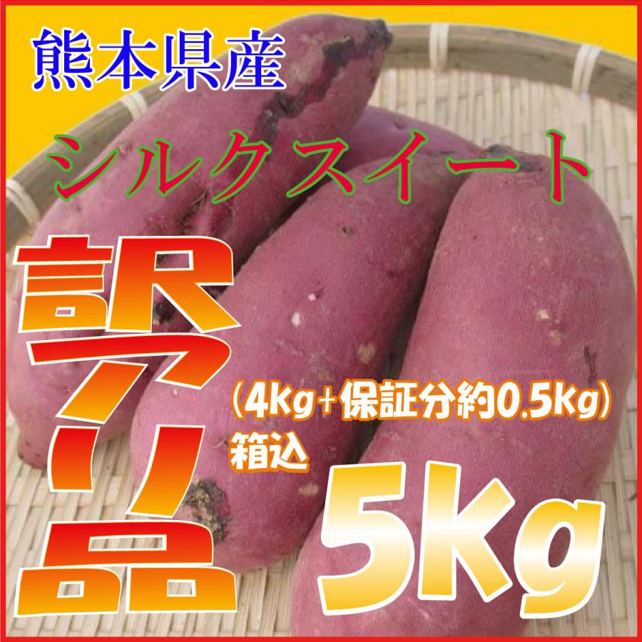 さつまいも シルクスイート 5kg 箱込 約5kg 熊本県産 訳あり品 生芋 送料無料 北海道・沖縄県・離島除く｜arrowskumamoto