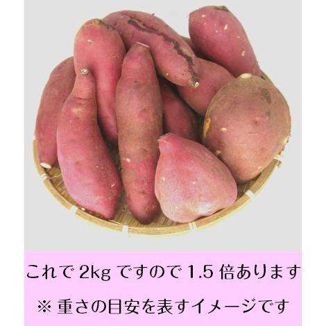 さつまいも シルクスイート 5kg 箱込 約5kg 熊本県産 訳あり品 生芋 送料無料 北海道・沖縄県・離島除く｜arrowskumamoto｜04