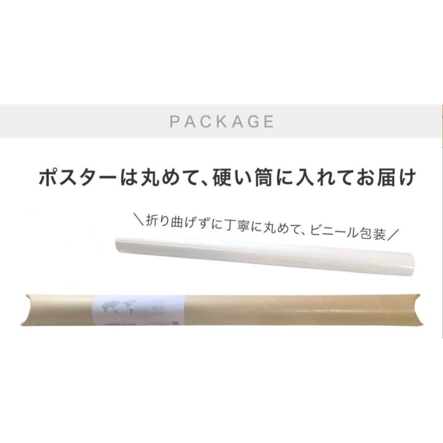 フランク・オーシャン ポスター Frank Ocean BLONDE 70x50cm ラッパー