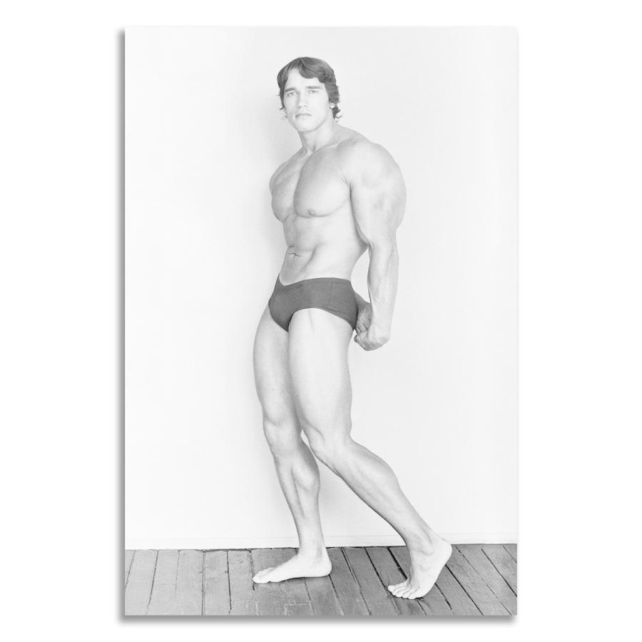 アーノルド シュワルツェネッガー ポスター ボード パネル フレーム 75x50cm 筋肉 マッチョ フィットネス ジム ボディビル グッズ 写真 7 アーノルド  シュワルツェネッガー ポスター ボード パネル フレーム, image size:900x900