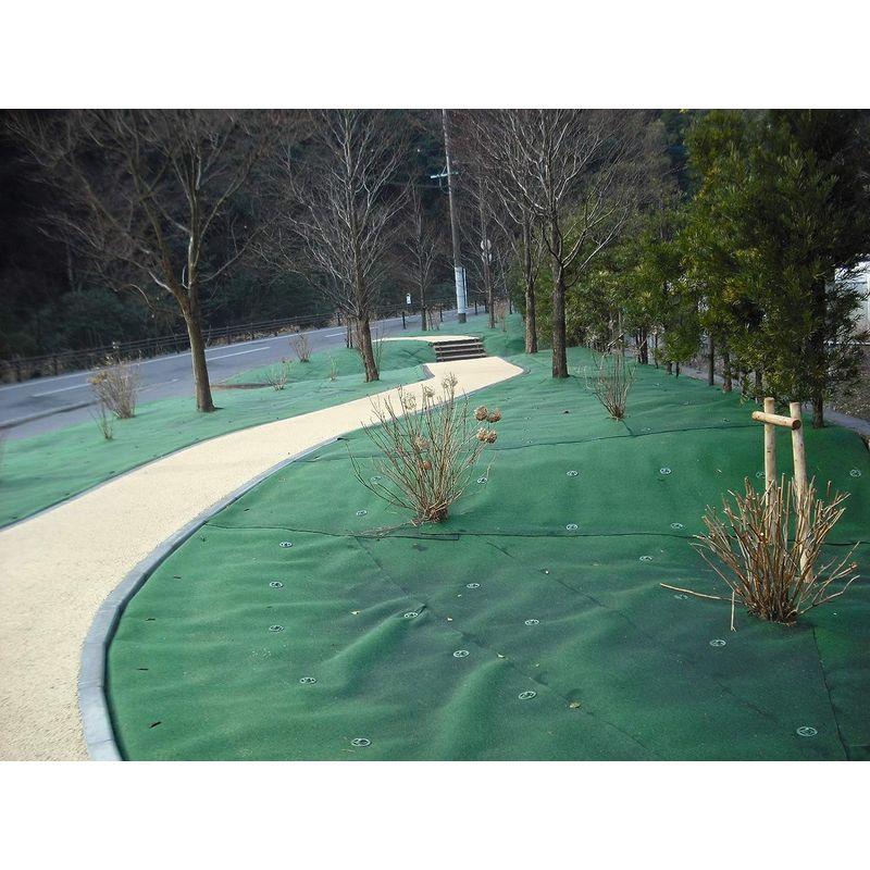 シンセイ 防草シート ストロングマット 超厚手3mm 1m×20m グリーン 防草シート ストロングマット 超厚手3mm 1m×20m グリーン