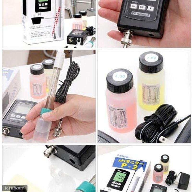 AIネット PHモニター P-2 水質測定器 PHモニター 水質測定器