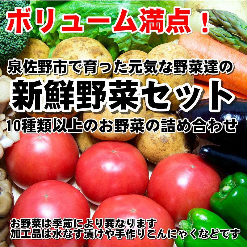 ボリューム大満点！新鮮な旬の野菜セット 10種類以上のお野菜