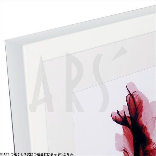 レントゲンアート 絵画 ポスター 絵 アートパネル アートポスター アート インテリア フレーム 額 リトグラフ 複製画 モダン 北欧 おしゃれ_1