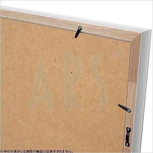 レントゲンアート 絵画 ポスター 絵 アートパネル アートポスター アート インテリア フレーム 額 リトグラフ 複製画 モダン 北欧 おしゃれ_3