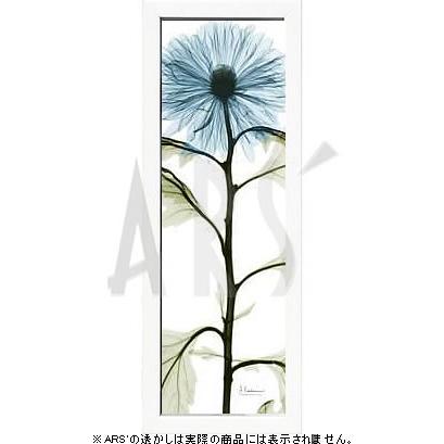 [大人気 本日発送 ] M2ALC9YP6JE (M2ALC9YP6JE)