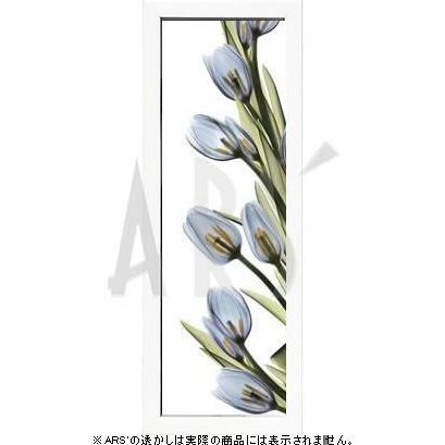 レントゲンアート 絵画 ポスター 絵 アートパネル アートポスター アート インテリア フレーム 額 リトグラフ 複製画 モダン 北欧 おしゃれ