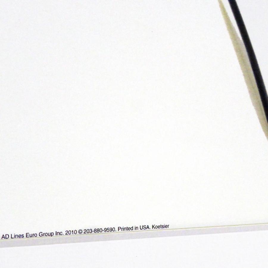 レントゲンアート 花 x-ray art アートパネル アートポスター アート