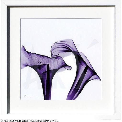 レントゲンアート 絵画 ポスター 絵 アートパネル アートポスター アート インテリア フレーム 額 リトグラフ 複製画 モダン 北欧 おしゃれ