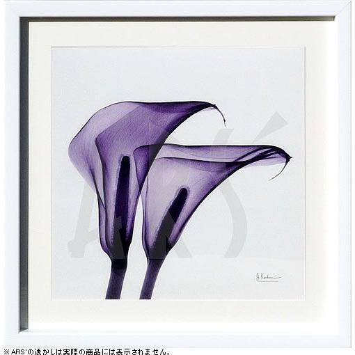 レントゲンアート 絵画 ポスター 絵 アートパネル アートポスター アート インテリア フレーム 額 リトグラフ 複製画 モダン 北欧 おしゃれ