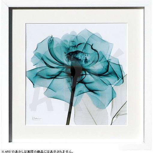 レントゲンアート 絵画 ポスター 絵 アートパネル アートポスター アート インテリア フレーム 額 リトグラフ 複製画 モダン 北欧 おしゃれ