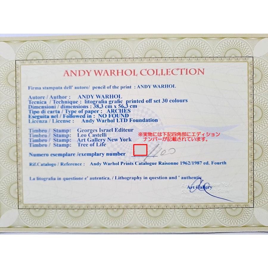 Andy Warhol（アンディ・ウォーホル） アンディ ウォーホル 絵画