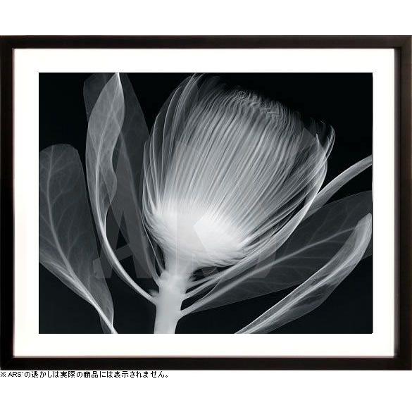 アートパネル アートポスター 絵画 インテリア 壁掛け