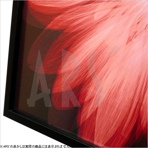 アートパネル アートポスター 絵画 インテリア 壁掛け タペストリー アートフレーム レントゲンアート ヒュー ターベイ Radiant Gerbera モダン 北欧 おしゃれ_2