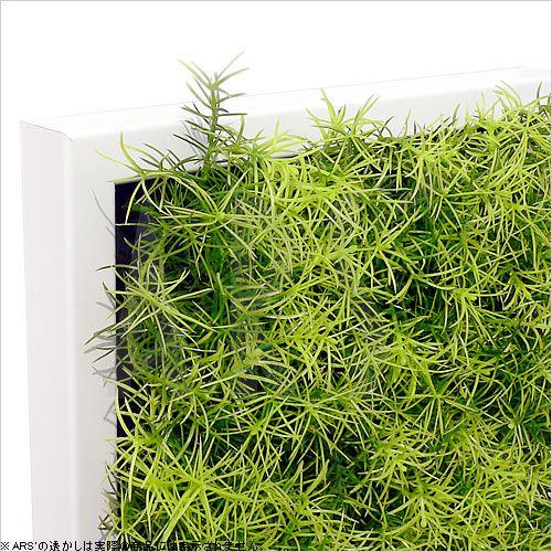 人工観葉植物の壁掛け　リーフアートパネル　ウォールグリーン　1B　ホワイト｜arsonline｜03
