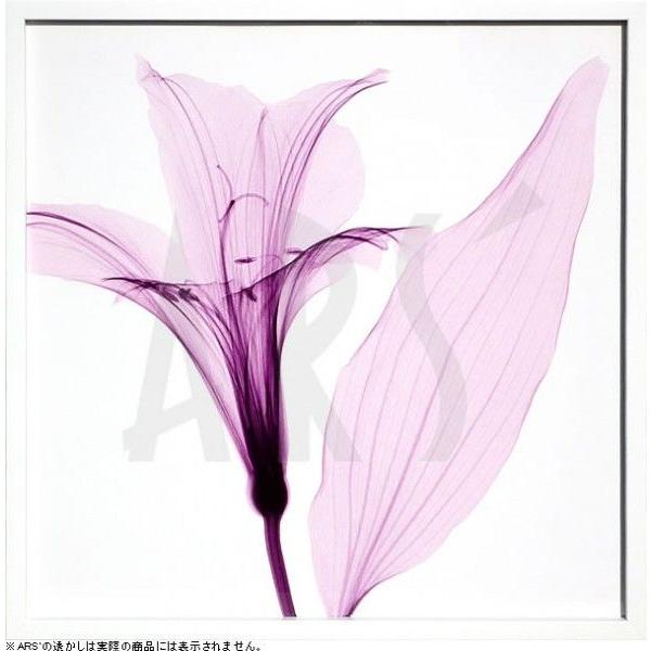 レントゲンアート 花 x-ray art アートパネル アートポスター アートフレーム 壁掛け タペストリー 額縁 北欧 おしゃれ インテリア モダンアート 抽象画