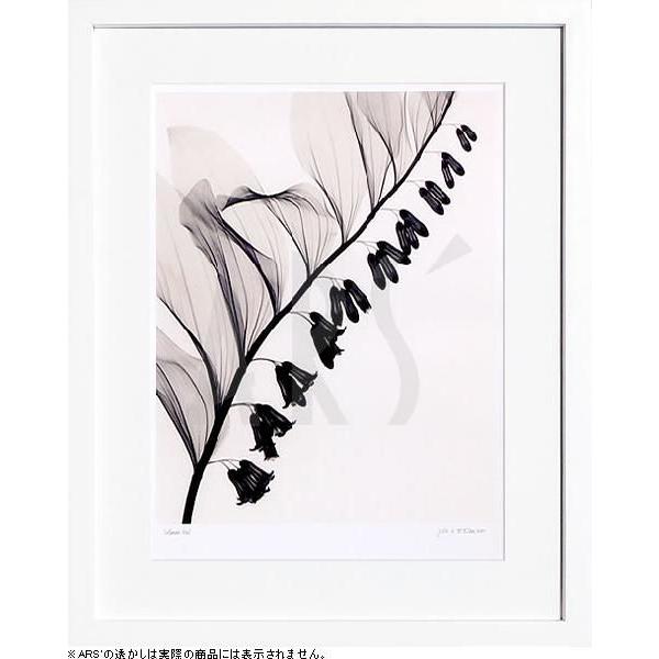 レントゲンアート 花 x-ray art アートパネル アートポスター アートフレーム 壁掛け タペストリー 額縁 北欧 おしゃれ インテリア モダンアート 抽象画