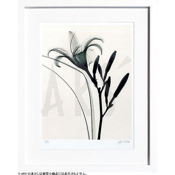 レントゲンアート 花 x-ray art アートパネル アートポスター アートフレーム 壁掛け タペストリー 額縁 北欧 おしゃれ インテリア モダンアート 抽象画