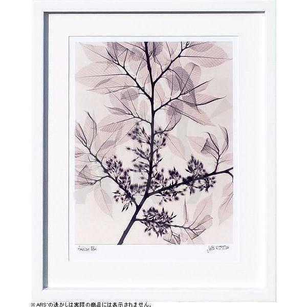 レントゲンアート 花 x-ray art アートパネル アートポスター アートフレーム 壁掛け タペストリー 額縁 北欧 おしゃれ インテリア モダンアート 抽象画