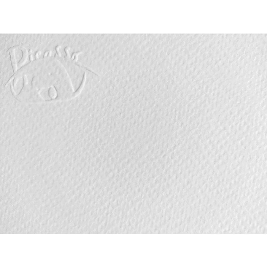 パブロ ピカソ 絵画 ポスター アート アートパネル アートポスター インテリア フレーム ゲルニカ 猫 平和の鳩 ドローイング リトグラフ 複製画 モダン おしゃれ |  | 03