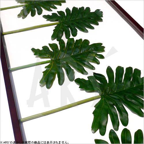 リーフパネル リーフアート リーフフレーム アートパネル フェイクグリーン 壁掛け 造花 インテリアグリーン モンステラ モダン 北欧 おしゃれ 大型 |  | 02