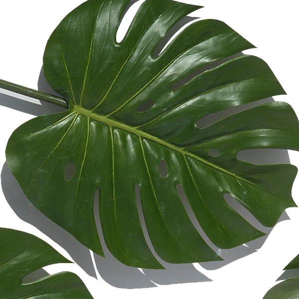 リーフパネル リーフアート リーフフレーム アートパネル フェイクグリーン 壁掛け 造花 インテリアグリーン モンステラ モダン 北欧 おしゃれ 大型 |  | 01