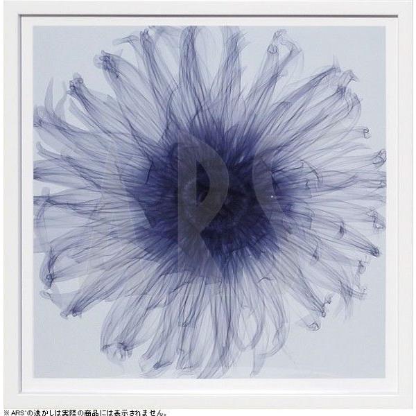 翡翠亭 プリモアート ぴんくねこ デザインフェスタ デザフェス 和泉つ