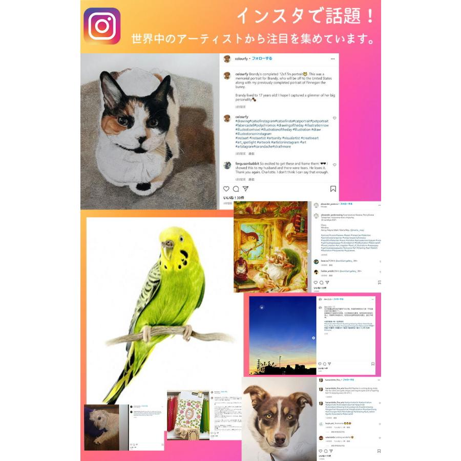 ファーバーカステル ポリクロモス色鉛筆 72色木箱入セット 日本 ファーバーカステル ポリクロモス色鉛筆 72色木箱入セット 日本