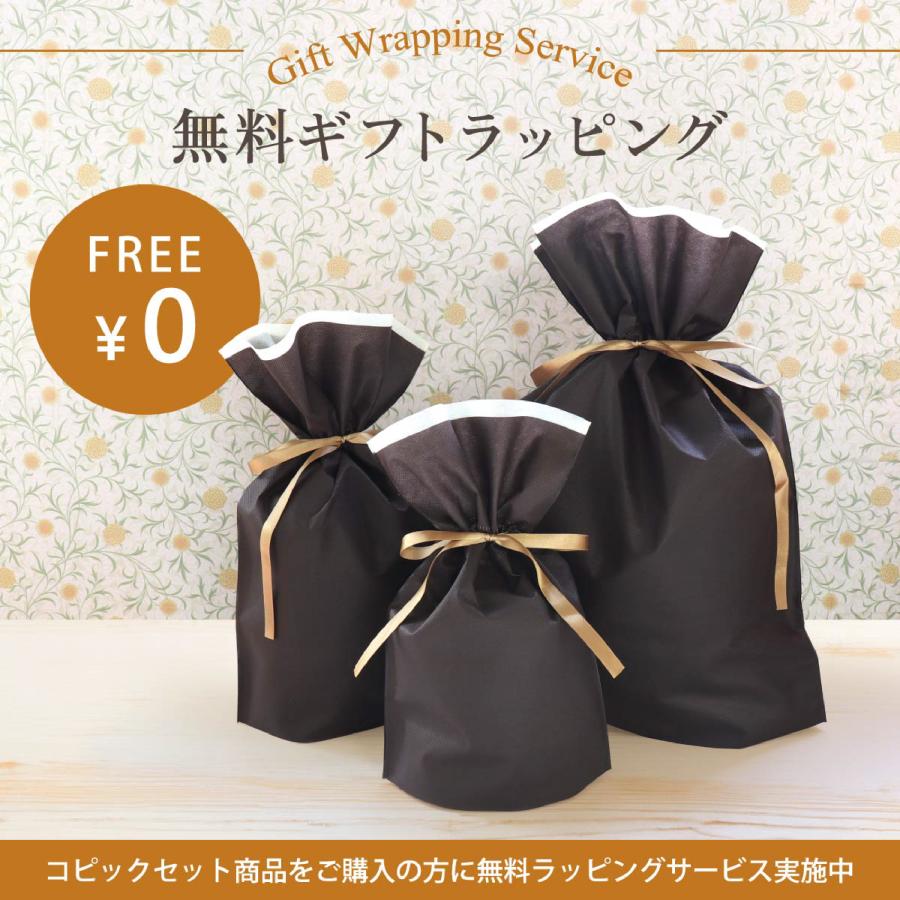 コピックチャオ Too スペシャルギフト BOX Flowers 2024 数量 コピックチャオ Too スペシャルギフト BOX Flowers 2024 数量