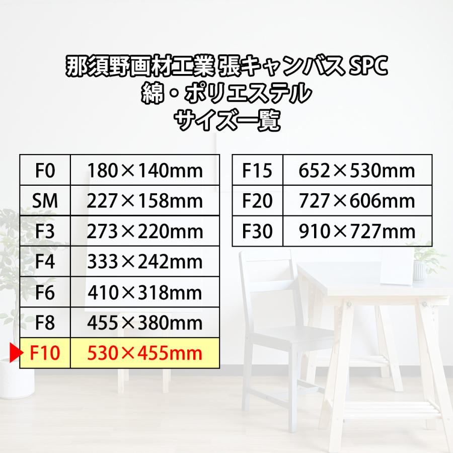 那須野画材工業 張キャンバス SPC 綿・ポリエステル F10 : Art&Craft