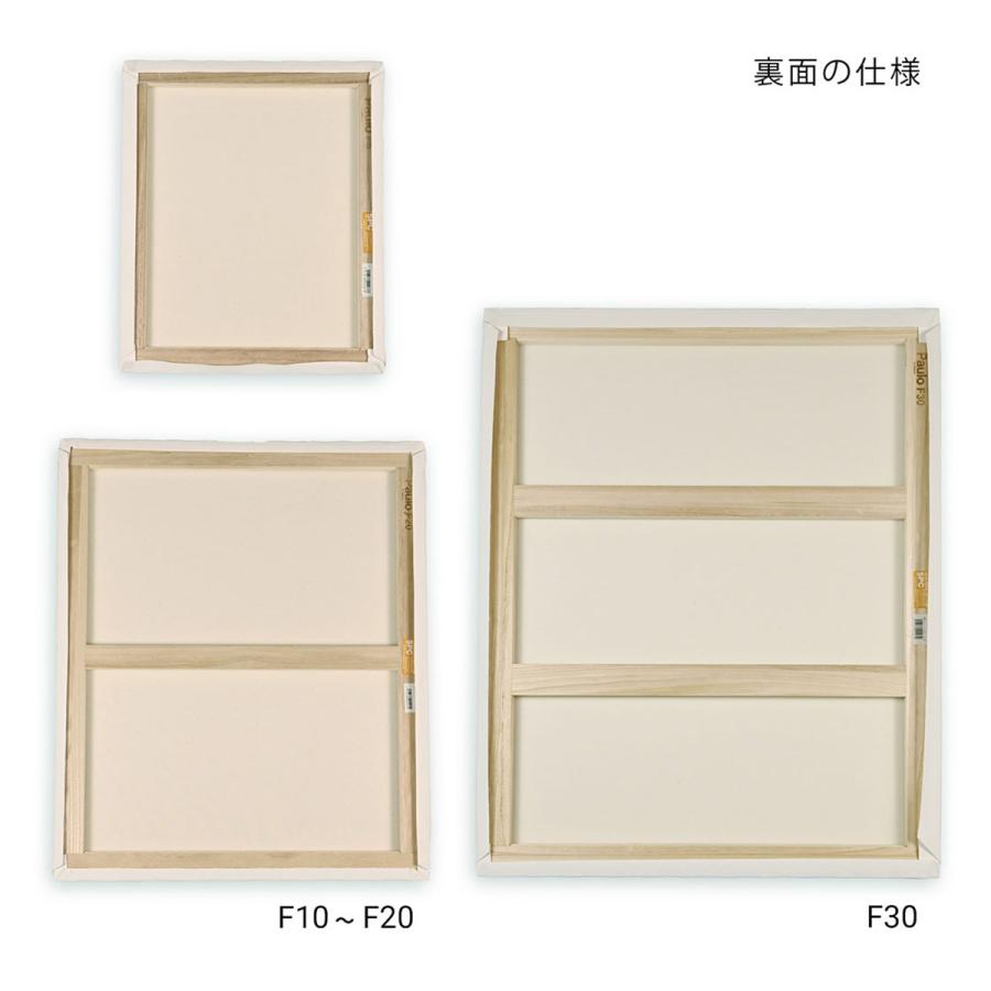 那須野画材工業 張キャンバス SPC 綿・ポリエステル F10 : Art&Craft
