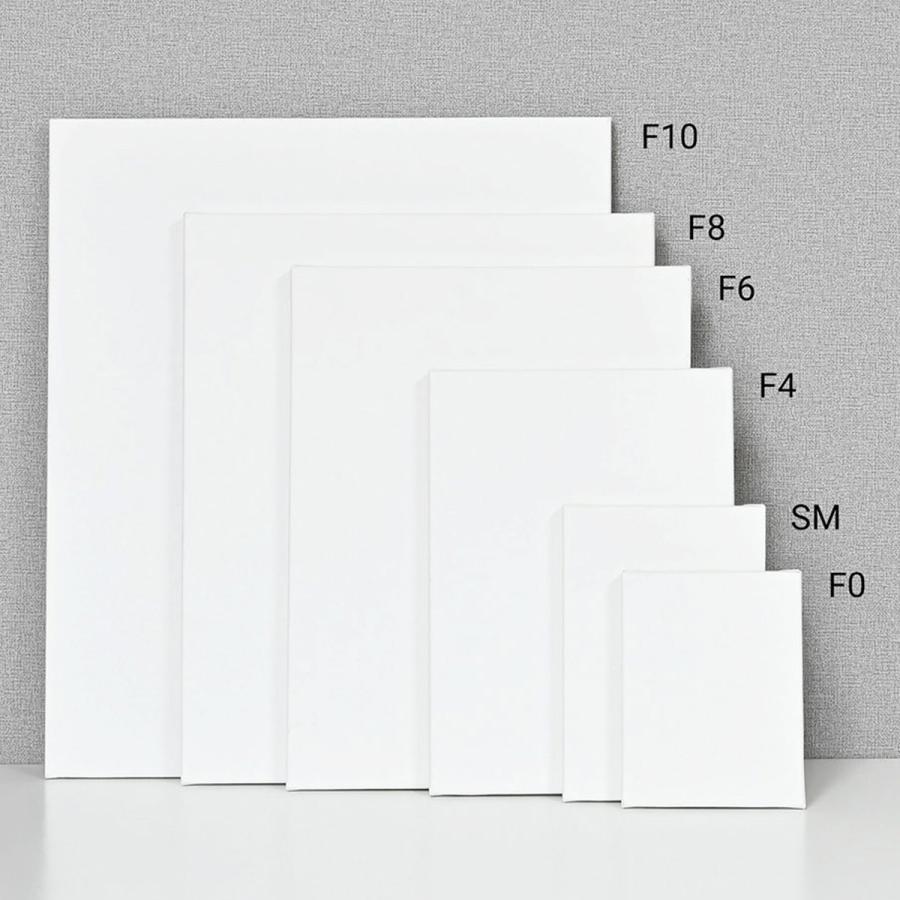 那須野画材工業 Snow White Basic Canvas 張キャンバス F0 ネコポス可