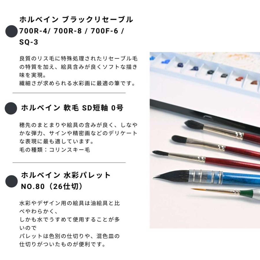ホルベイン (掘り出し市) 限定アートセットシリーズ 水彩画セット