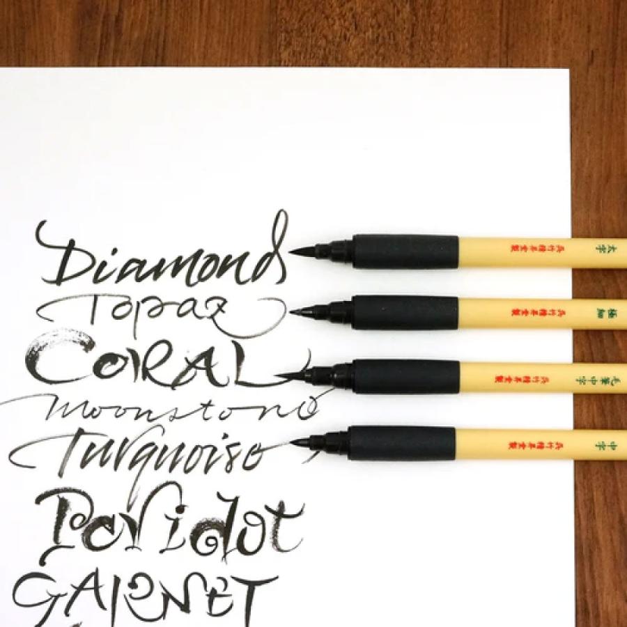 呉竹 BIMOJI FUDE PEN Assorted set／ 5本セット (XT/5V2) 美文字 筆ペン アソートセット クレタケ くれ ...