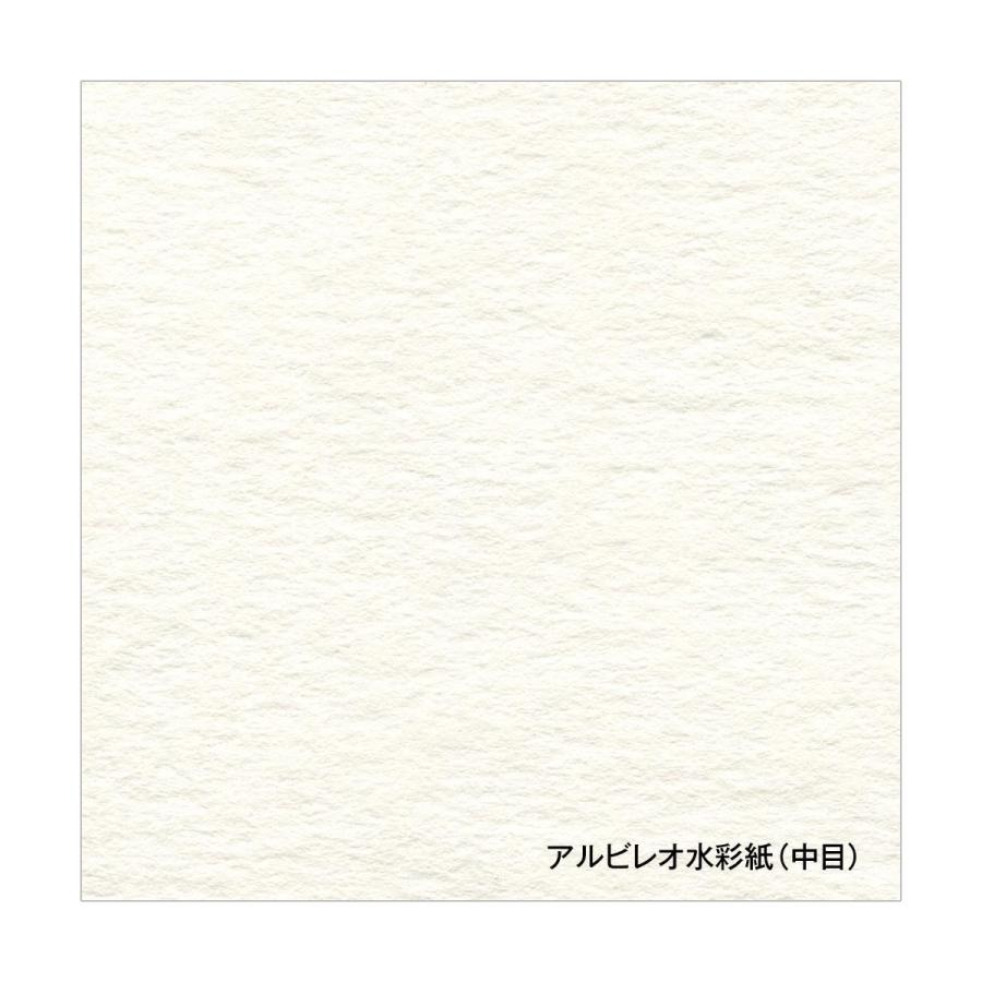ホルベイン アルビレオ水彩紙 218g 中目 ロール 1400mm×10m 251311 (251311)の画像